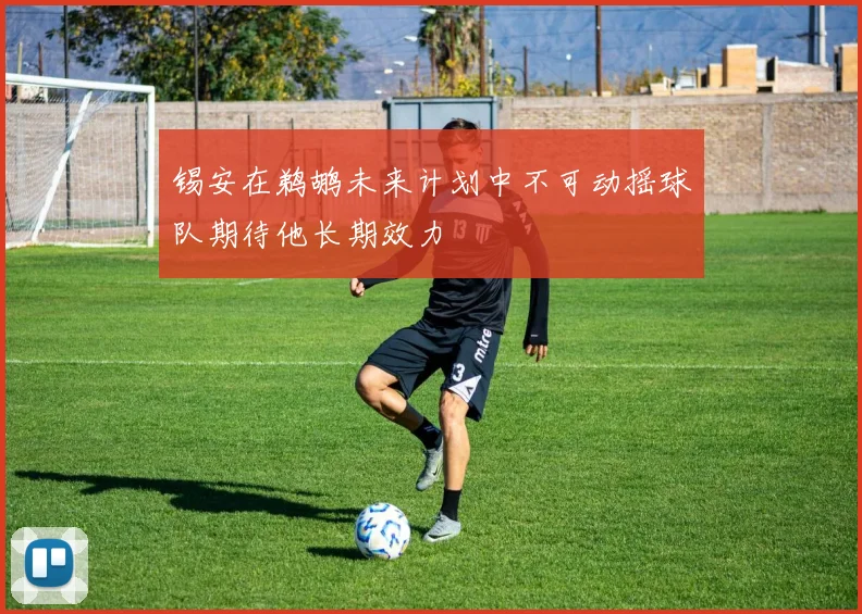 锡安在鹈鹕未来计划中不可动摇球队期待他长期效力